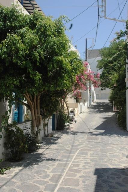 Naxos City Hotel Anixis Resort المظهر الخارجي الصورة